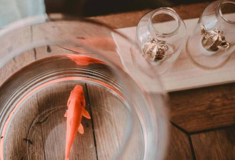 带大床的标准间, Un Banc Au Soleil