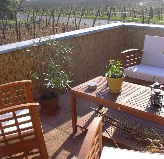 סוויטה, Vignoble