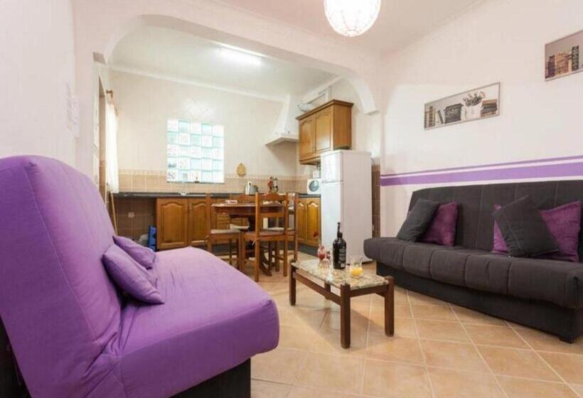 آپارتمان 1 خوابه, Residencia Quinta Do Poço Guesthouse