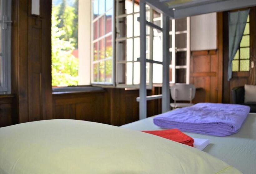 سرير فى غرفة مشتركه, Gotthard Backpacker