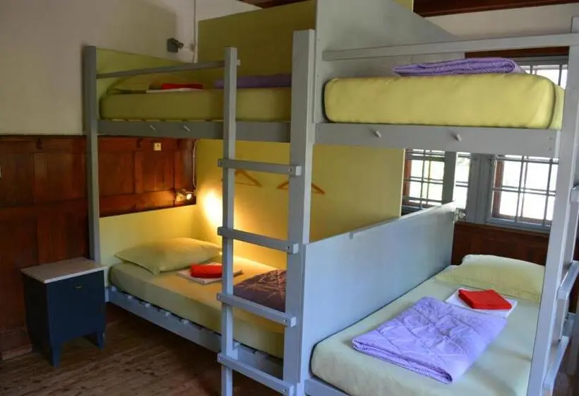 Cama em Quarto Partilhado, Gotthard Backpacker