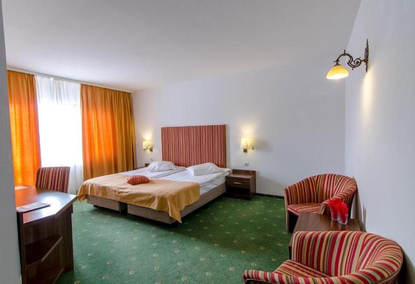 غرفة قياسية, Cheile Gradistei Fundata Resort