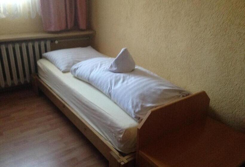 스탠다드 싱글 룸, Hostel Im Osterzgebirge