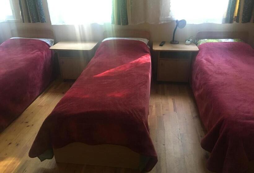 اتاق استاندارد چهار تخته, Parko Vila