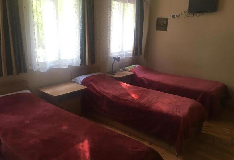 اتاق استاندارد چهار تخته, Parko Vila