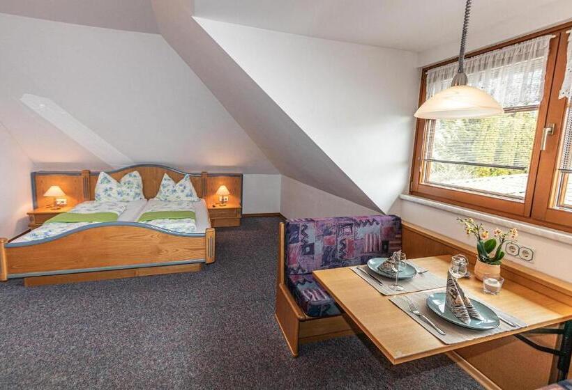 شقة غرفة واحدة, Seeappartements Bacher