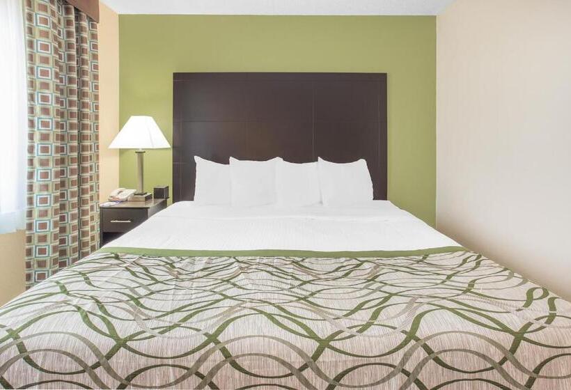 جناح ديلوكس سرير كينج, Baymont By Wyndham Holland