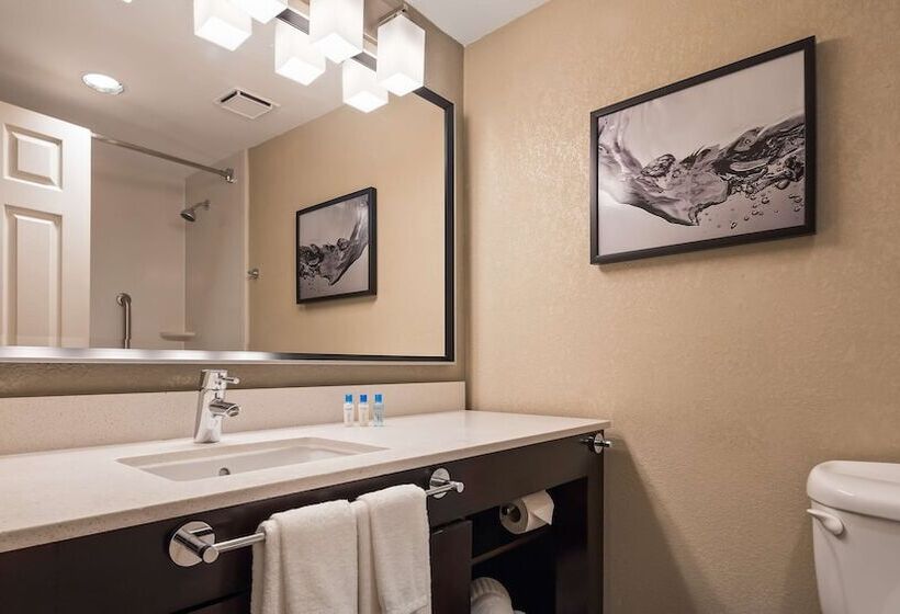 带2个双人床的标准工作室, Best Western Plus Hollywood/aventura