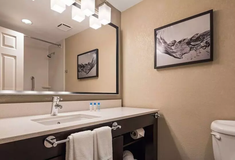 اتاق استاندارد با 2 تخت دوبل, Best Western Plus Hollywood/aventura