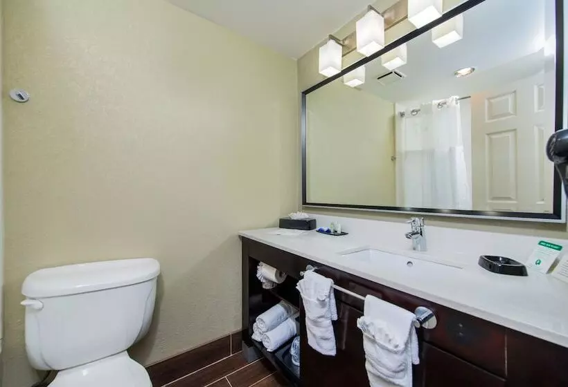 اتاق استاندارد با 2 تخت دوبل, Best Western Plus Hollywood/aventura