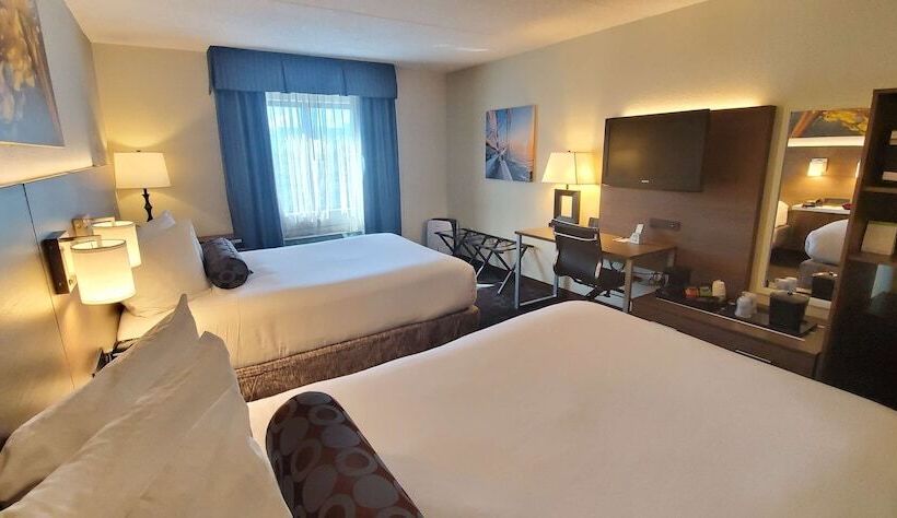 带2个双人床的标准工作室, Best Western Plus Hollywood/aventura