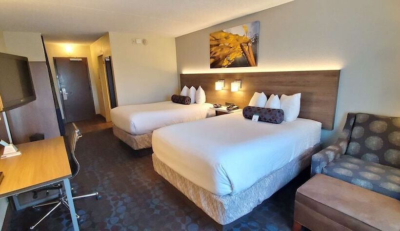 带2个双人床的标准工作室, Best Western Plus Hollywood/aventura