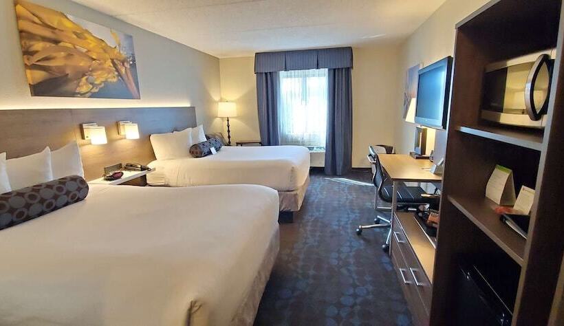 带2个双人床的标准工作室, Best Western Plus Hollywood/aventura