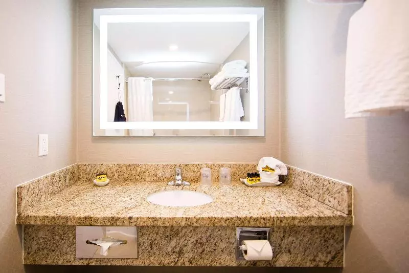 Standard-huone King-vuode, Fairfield Inn & Suites By Marriott Omaha Downtown