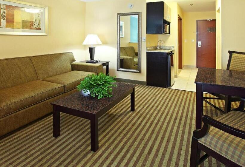 جناح سرير كينج, Holiday Inn Express Hotel & Suites Carthage, An Ihg