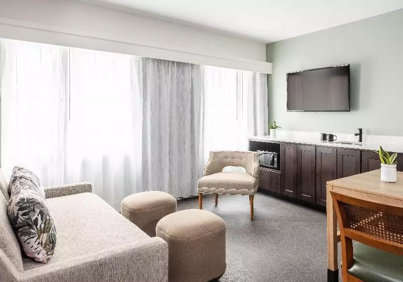 キングサイズベッドのスタンダードルーム, Holiday Inn Express St. Louis Central West End, An Ihg