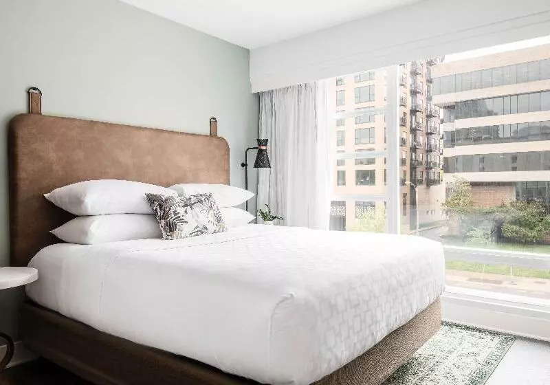 キングサイズベッドのエクゼクティブルーム, Holiday Inn Express St. Louis Central West End, An Ihg