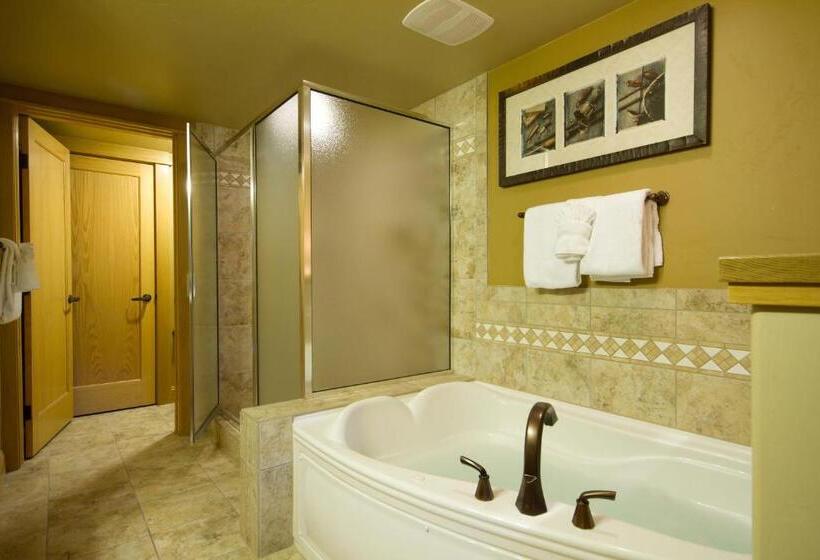 Люкс, Worldmark Steamboat Springs