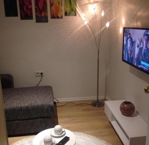 جناح مزوَّد بشرفة, Doctor House