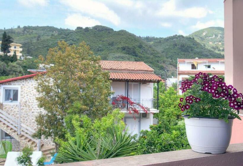 Studio Standard, Delphi