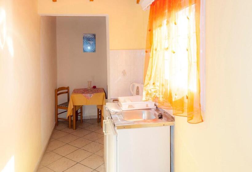 Studio Standard Widok Morze, Delphi