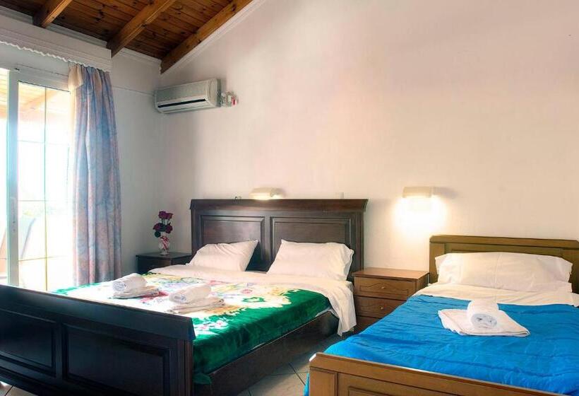 Studio Standard Widok Morze, Delphi