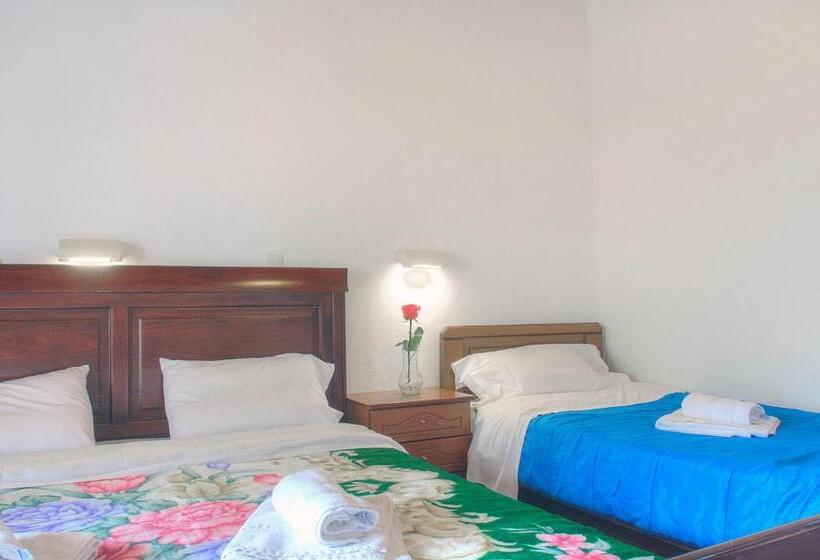 Studio Standard Widok Morze, Delphi