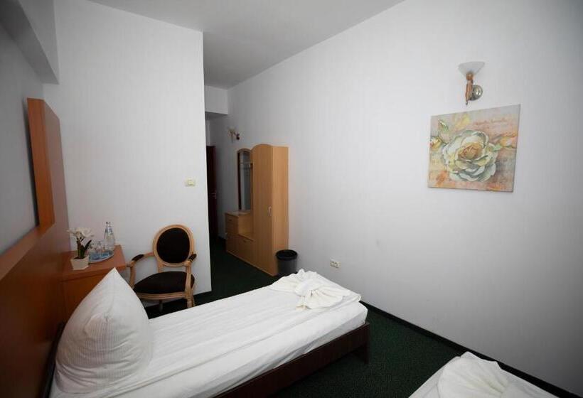 스탠다드 싱글 룸, Arta