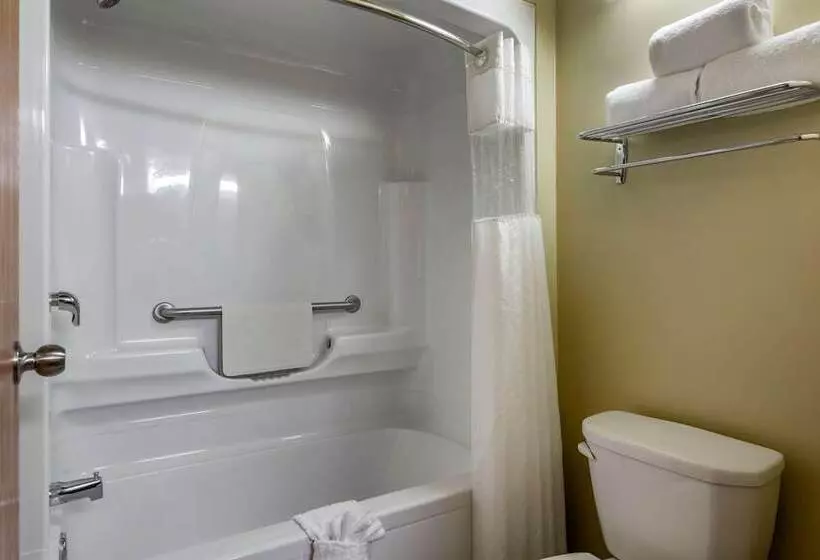 Sviitti, Best Western Plus Dartmouth Hotel & Suites
