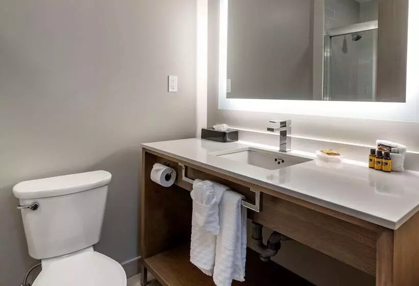 Sviitti, Best Western Plus Dartmouth Hotel & Suites