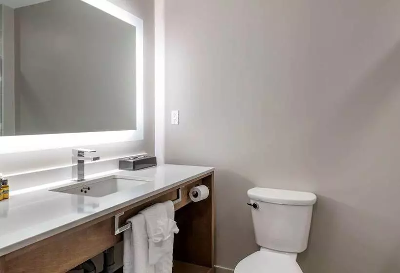 Sviitti, Best Western Plus Dartmouth Hotel & Suites