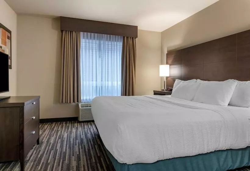 Sviitti, Best Western Plus Dartmouth Hotel & Suites
