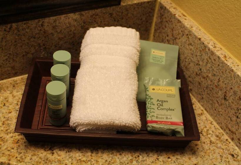 エクゼクティブルーム, Best Western San Isidro Inn