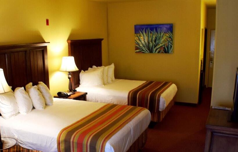 غرفة تنفيذية, Best Western San Isidro Inn