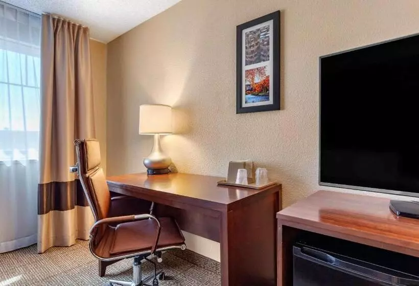 身障者適用スタンダードルーム, Comfort Inn Santa Rosa On Route 66