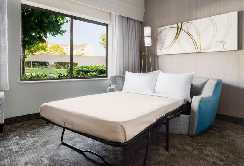 스탠다드 룸 킹사이즈 침대, Courtyard By Marriott Salinas Monterey