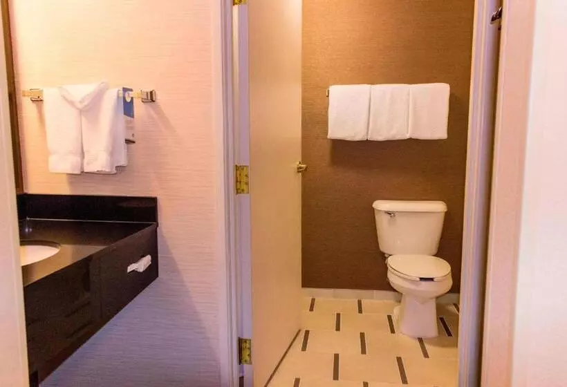 キングサイズベッドのスタンダードルーム, Fairfield Inn Kansas City Downtown/union Hill