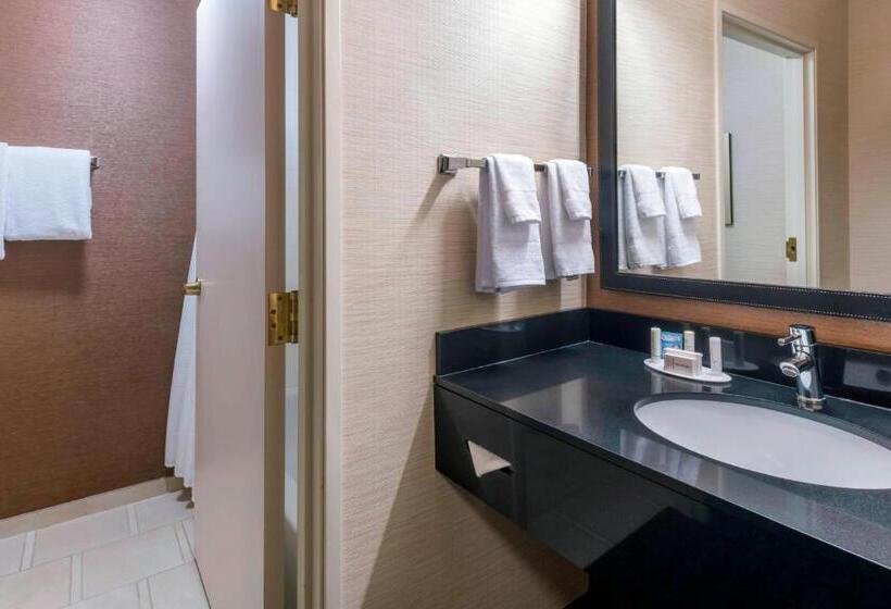 غرفة قياسية سرير كينج, Fairfield Inn Kansas City Downtown/union Hill
