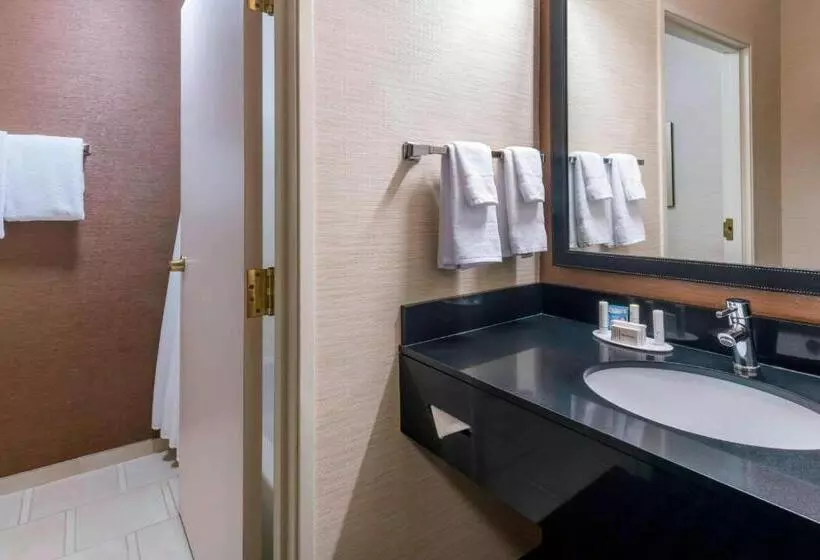 キングサイズベッドのエクゼクティブルーム, Fairfield Inn Kansas City Downtown/union Hill