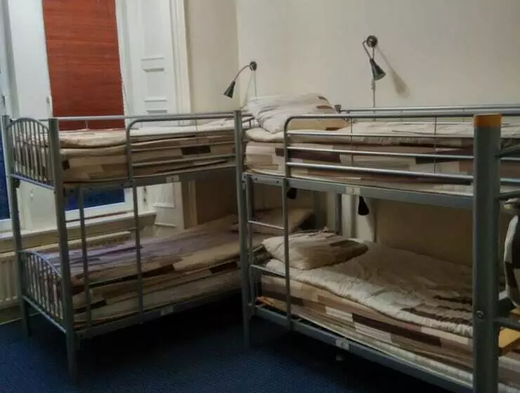 تختخواب در اتاق مشترک, Alba Hostel Glasgow