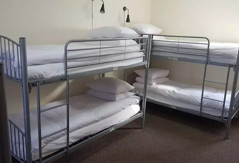 تختخواب در اتاق مشترک, Alba Hostel Glasgow
