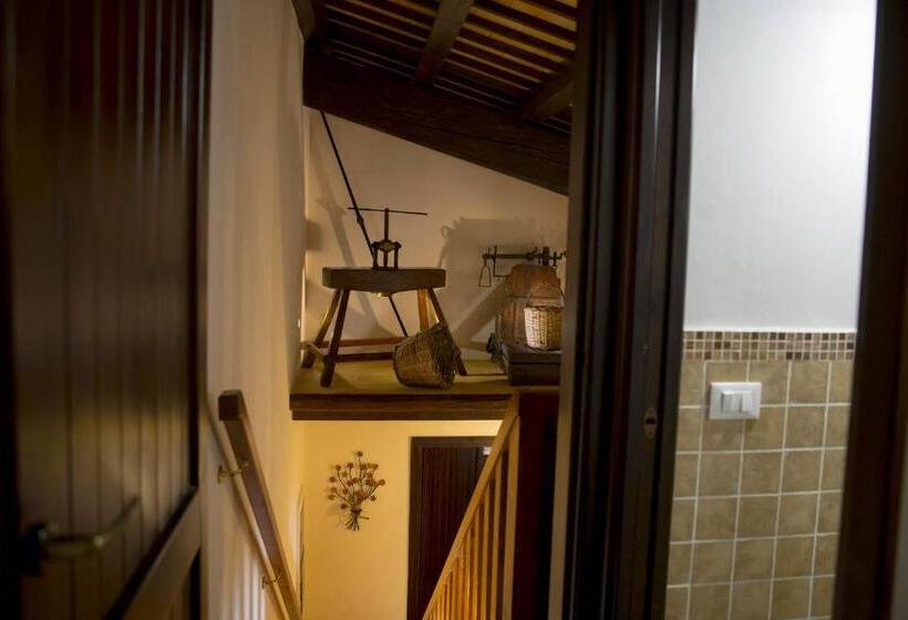 庭の見えるジュニアスイート, B&b Sabir