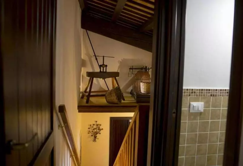 سوئیت جونیور با چشم‌انداز باغ, B&b Sabir