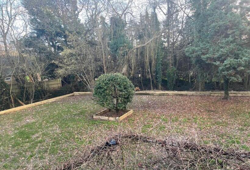 חדר יחיד בסיסי, Da Vinci Guest House & Guest Parking