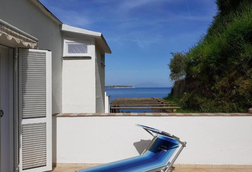 غرفة كومفورت, Da Maria