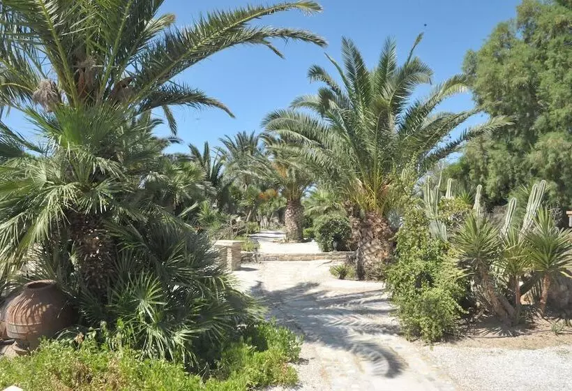 ジュニアスイート, Medusa Beach Resort & Suites