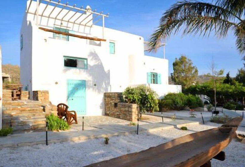Полулюкс, Medusa Beach Resort & Suites