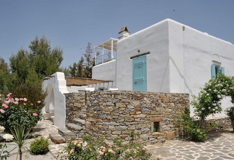 Президентский Люкс, Medusa Beach Resort & Suites