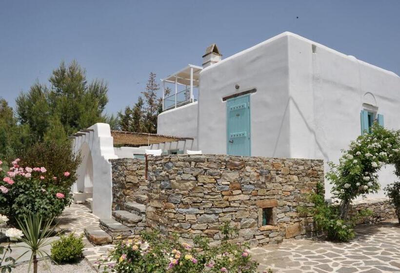 Президентский Люкс, Medusa Beach Resort & Suites