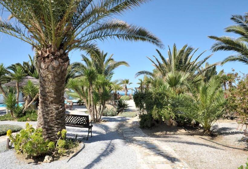 Полулюкс, Medusa Beach Resort & Suites